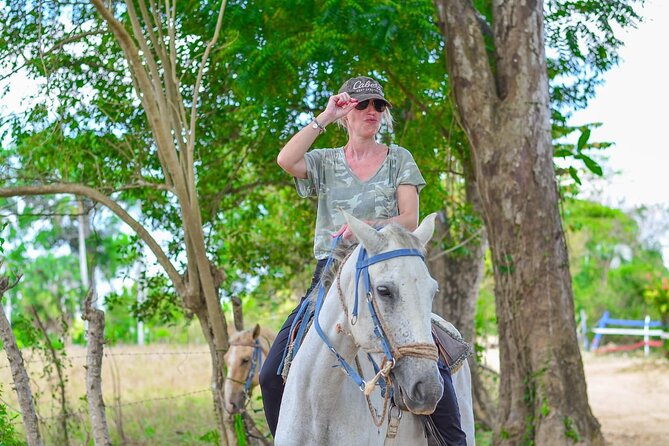 2-hour sunset horseback ride from Punta Cana - Who should book this Punta Cana sunset horseback ride