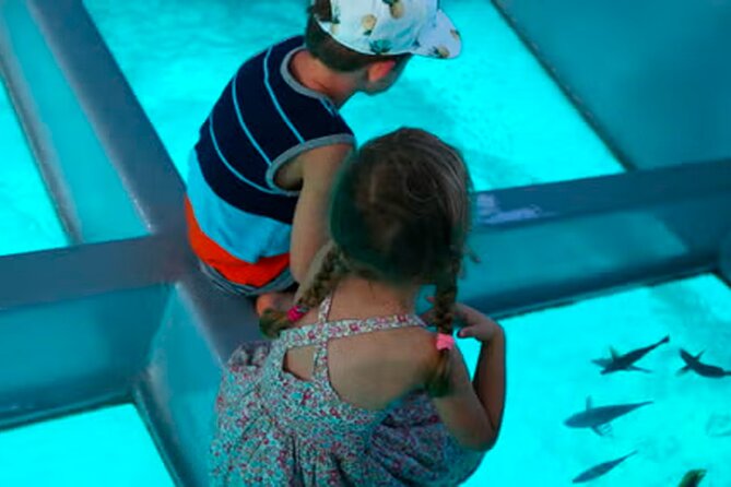 3 hrs Glass Boat Tour in Punta Cana - Key Highlights You’ll Actually Care About