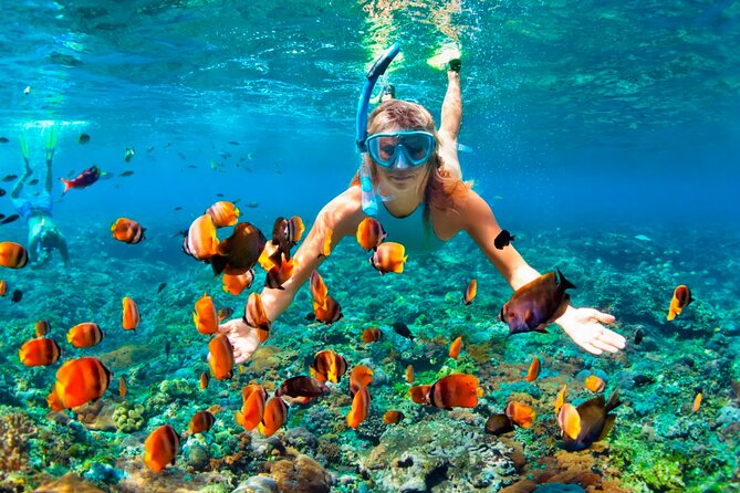 3 hrs Glass Boat Tour in Punta Cana - What’s Included (and What to Bring) for a Smooth 3 Hours