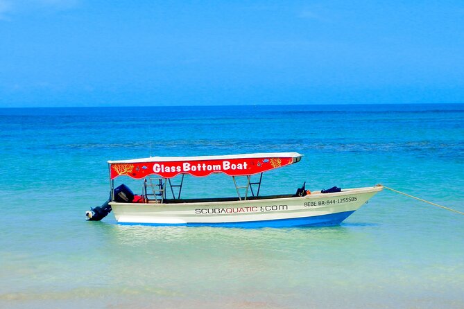 3 hrs Glass Boat Tour in Punta Cana - The Logistics Risk You Should Plan Around