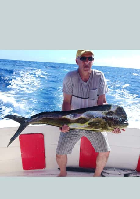 4 hour deep sea fishing experience from punta cana - Key Highlights at a Glance