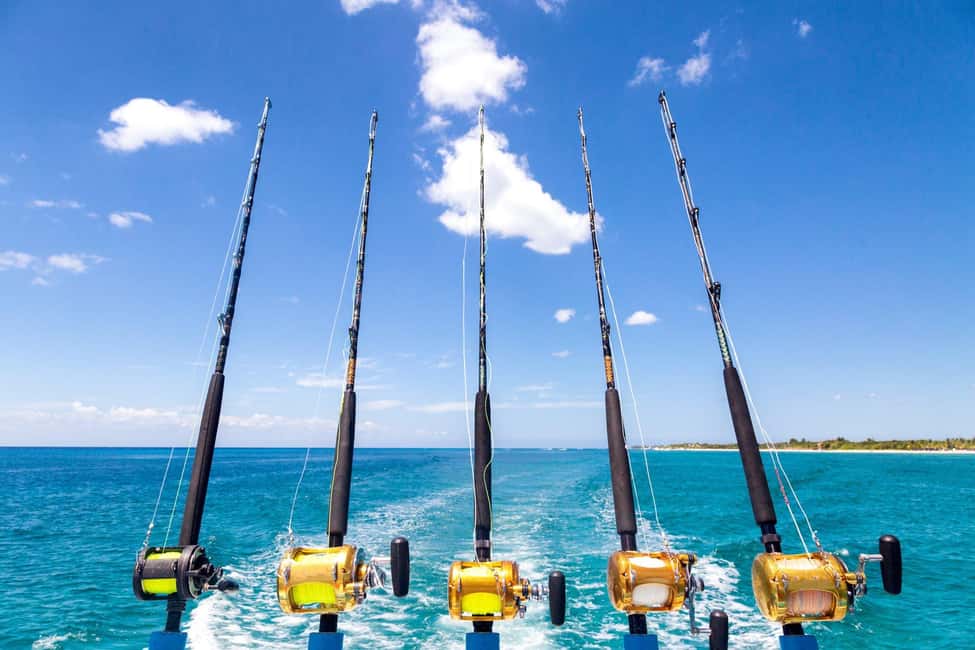 4 hour deep sea fishing experience from punta cana - A 4-Hour Trolling Trip Where You Actually Reel