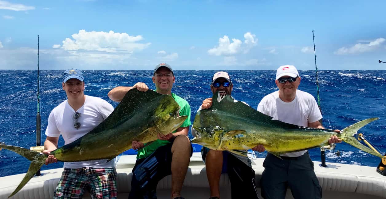 4 hour deep sea fishing experience from punta cana - The Offshore Session: What 4 Hours of Trolling Feels Like