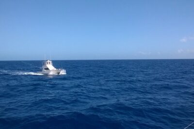 4 Hour Punta Cana Fishing Tour - Getting on the Boat: What Happens Before Lines Hit the Water