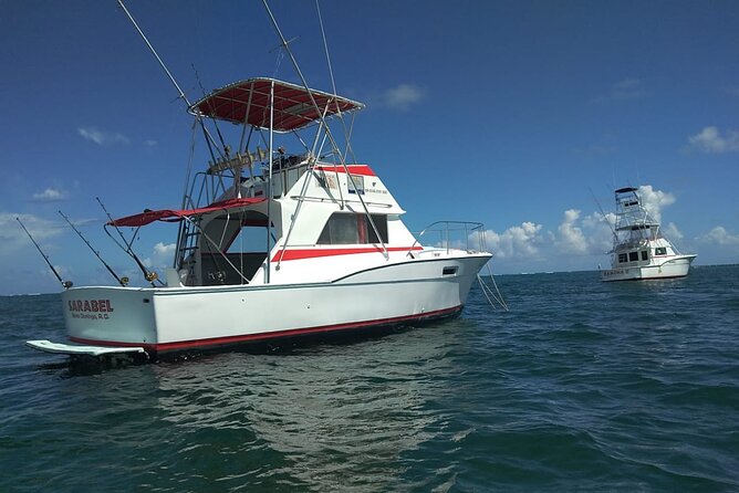 4 Hour Punta Cana Fishing Tour - The Fish Targets: What You Might Catch (and Why It Varies)