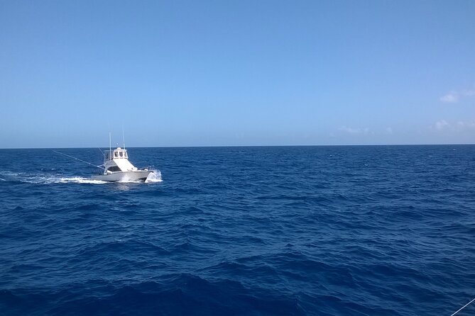 4 Hour Punta Cana Fishing Tour - Getting on the Boat: What Happens Before Lines Hit the Water