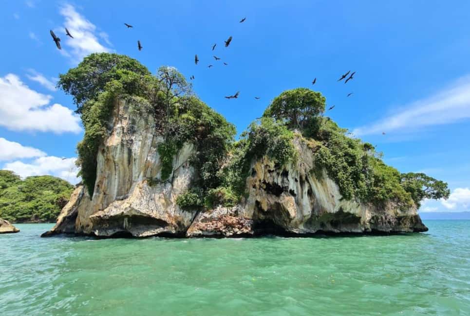 4in1: Los Haitises+ Kayaking+ Natural Pools+ Montana Redonda - Montana Redonda Hammocks and the 360-View Photo Wall