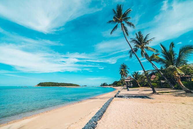 4x4 Adventure Tour, Mountains and Paradise Beaches with Food - Emerald Coast Beach: The Calm Start at Punta Cana