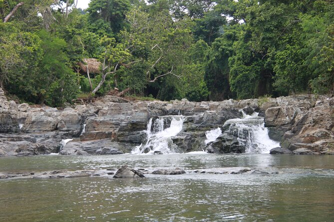 5 Tours of Jungle and Dominican Culture with Lunch - Anamuya zip lines: four stations and 600+ meters overhead