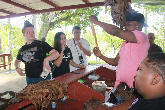 5 Tours of Jungle and Dominican Culture with Lunch - Buffet lunch at the Rio de Anamulla: food plus a swim break