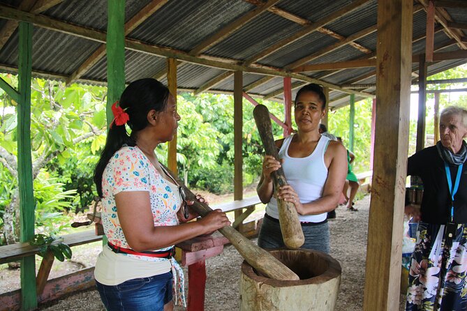 5 Tours of Jungle and Dominican Culture with Lunch - Pickup caution: what to do so your day doesn’t go sideways