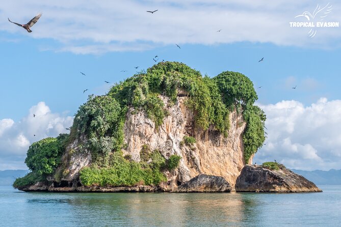 6-Day Private Tour between Bayahibe and Samana Bay - What “private tour” means here (and what it doesn’t)