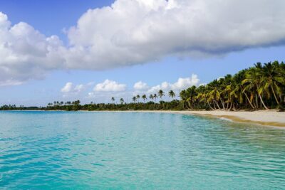 6 Hour Private Saona Island Tour with Snorkeling - The 10:00 AM Plan: What Your 6 Hours Actually Feel Like