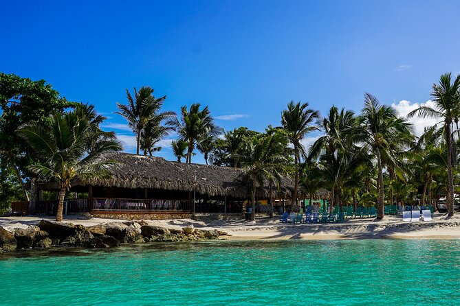 6 Hour Private Saona Island Tour with Snorkeling - Return to Bayahibe: Playa Palmillas and a Calm Finish