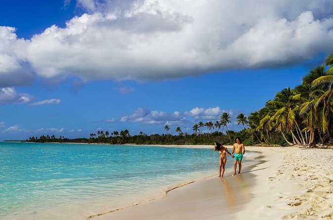 6 Hour Private Saona Island Tour with Snorkeling - Snorkeling Expectations: Starfish, Sea Turtles, and Realistic Outcomes