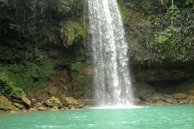 7 Hour- Private Nature Tour of the Monte Plata Rainforest - Key Highlights You’ll Actually Care About