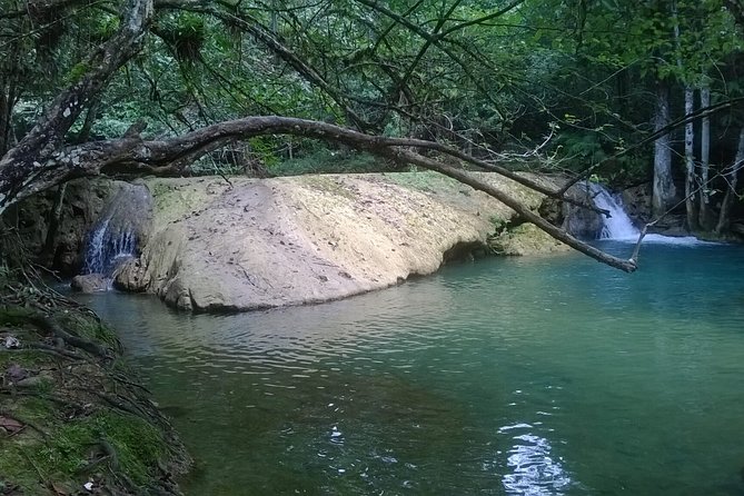7 Hour- Private Nature Tour of the Monte Plata Rainforest - Monte Plata Rainforest: Why This Is a Smart Private Day