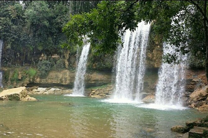 7 Hour- Private Nature Tour of the Monte Plata Rainforest - Reviews in Real Life: What “Professional” Actually Means Here