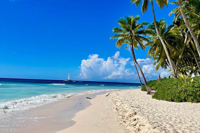 A Magical Day on Saona Island - Quick Takeaways Before You Go