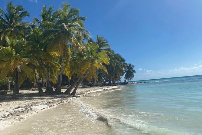 A Magical Day on Saona Island - The Natural Pool Stop: a Quick Swim That Makes the Trip