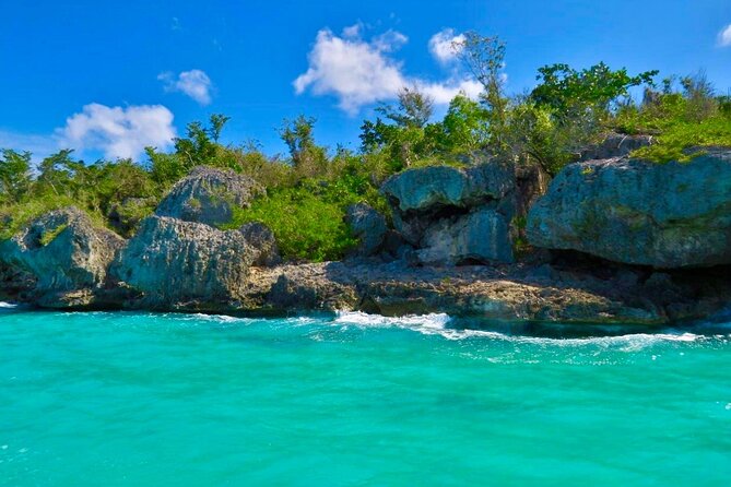 A Magical Day on Saona Island - Price and Value: Is $76.50 a Fair Deal?