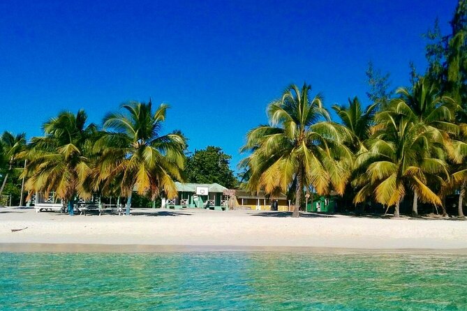 A Magical Day on Saona Island - Who This Saona Trip Suits Best