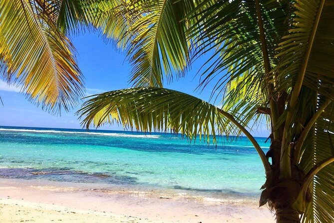 A Magical Day on Saona Island - Small Details That Make the Day Feel Easy