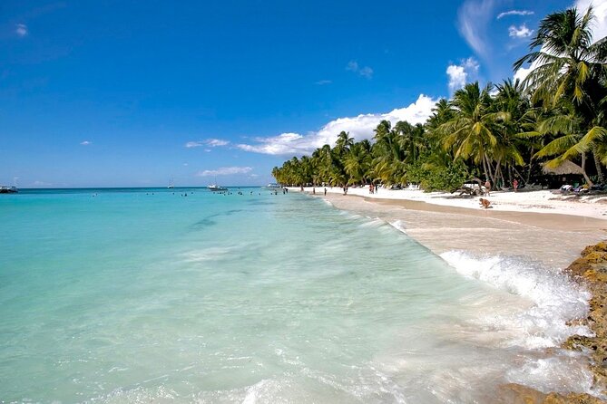 A Magical Day on Saona Island - Isla Saona: Three Hours of Beach Time That Actually Feels Like a Vacation