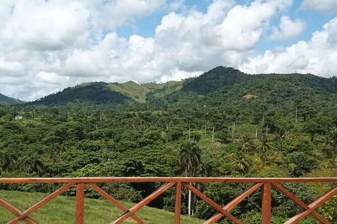 Adrenaline Total: Zipline Tour in Punta Cana - Drinks Included (Alcohol Too): Plan Your Pace Like a Pro