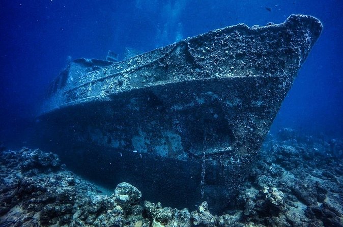 Advanced Open Water Diver - Bávaro - Your three flexible choices: peak buoyancy, wreck work, fish ID