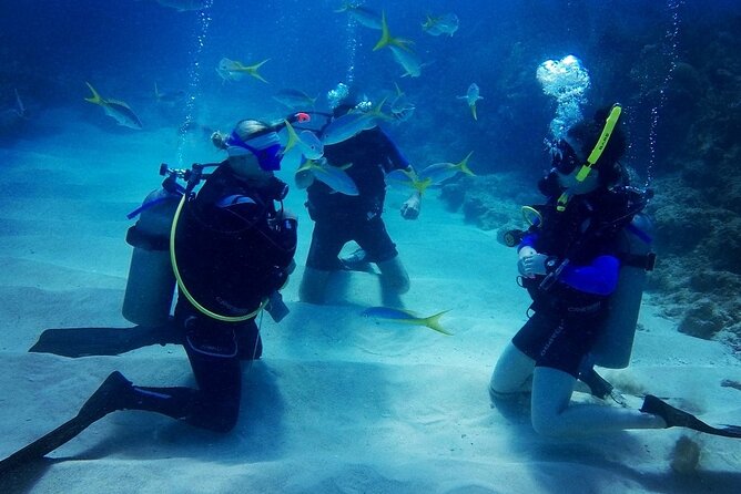 Advanced Open Water Diver - Bávaro - The mandatory deep and navigation sessions (30 m / 100 ft limit)