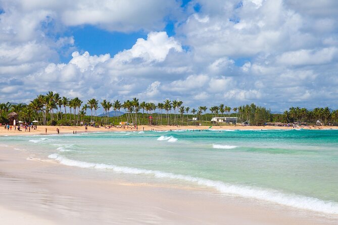 Adventure Buggies Small Group Punta Cana - Coffee, crafts, and Dominican artisan shopping without the hard sell