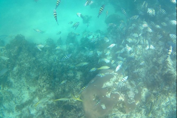 ADVENTURE PACKAGE: Buggy OffRoad Experience & Catamaran Cruise with Snorkeling - Why this land-and-sea day works so well near Punta Cana