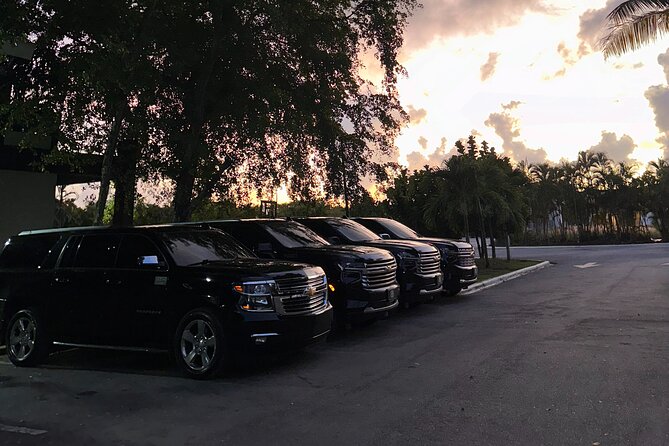 Affordable Private Airport Transfer in Punta Cana - Common Snags in Punta Cana (And How to Avoid Them)