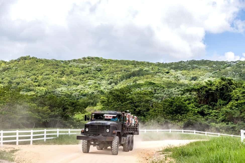 All-Inclusive Day Trip from Punta Cana: DR Culture Immersion - Price and logistics: is $89 worth it for your day?