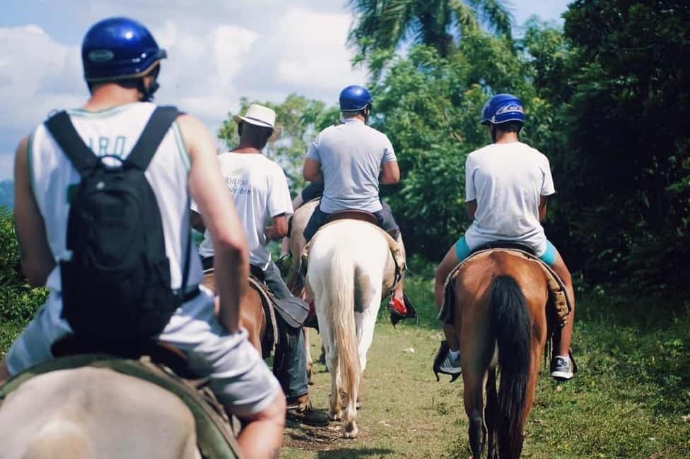 All-Inclusive Day Trip from Punta Cana: DR Culture Immersion - From Punta Cana to La Altagracia in one packed 8 hours