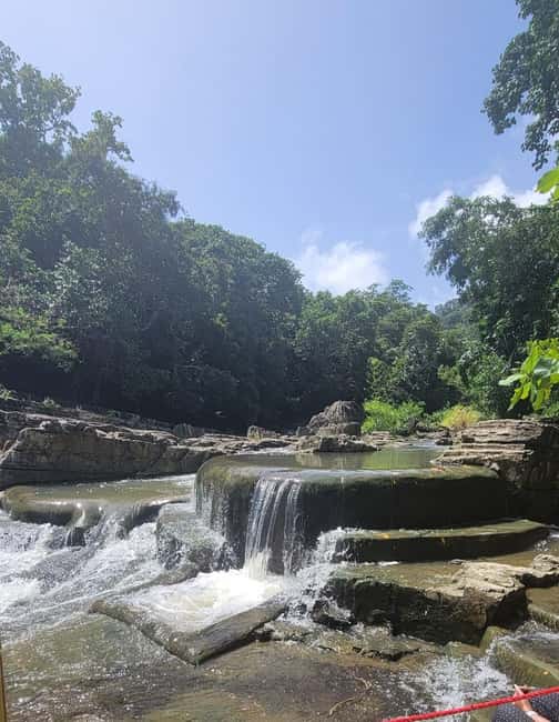 All-Inclusive Day Trip from Punta Cana: DR Culture Immersion - Rural school greetings: what you’ll see (and what you may not)