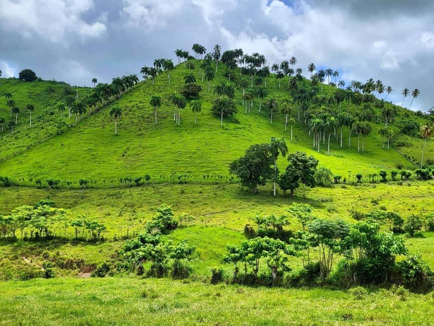 All-Inclusive Day Trip from Punta Cana: DR Culture Immersion - Rancho Valencia crafts and the Anamuya River swim