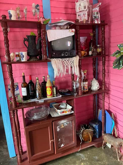 All-Inclusive Day Trip from Punta Cana: DR Culture Immersion - Plantation Safari Truck: coffee, cacao, sugarcane tastings you can actually taste