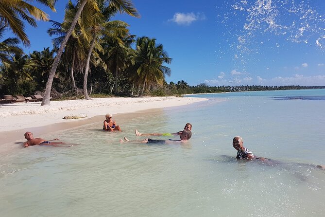All Inclusive Saona Private Boat Tour from 165 USD p/P - Key Highlights