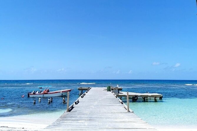 All Inclusive Saona Private Boat Tour from 165 USD p/P - The All-Inclusive Part: What You’re Really Buying