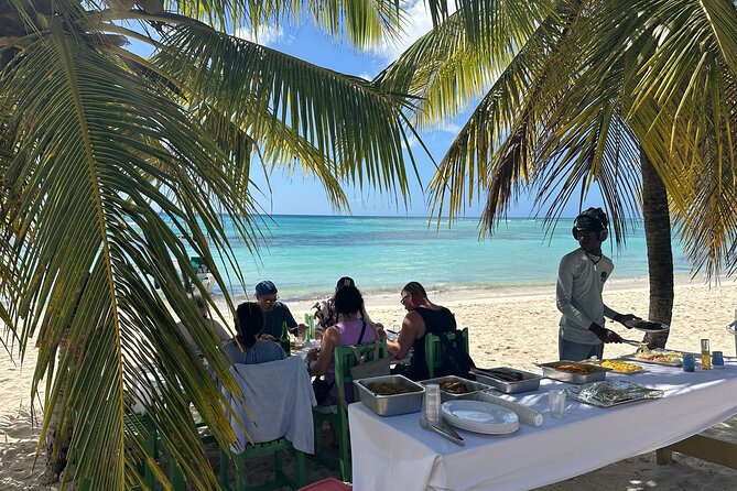 All Inclusive Saona Private Boat Tour from 165 USD p/P - Snorkeling and the Shipwreck Expectation