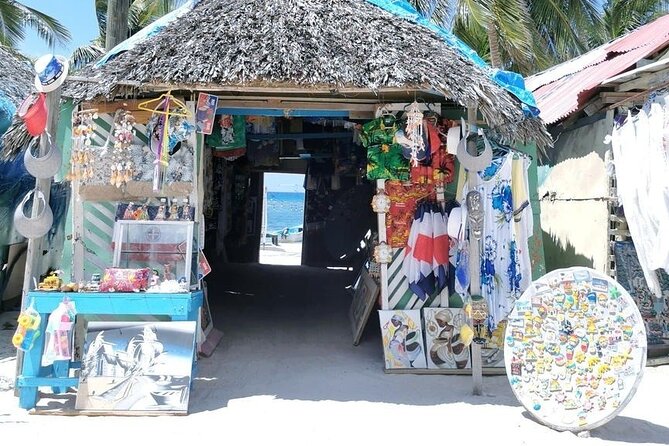 All Inclusive Saona Private Boat Tour from 165 USD p/P - How to Decide If This Tour Fits Your Style