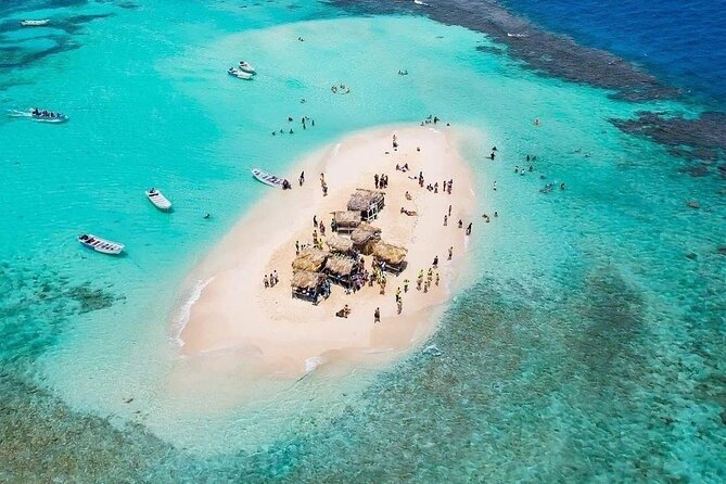 Amazing Paradise Island + Snorkeling-Mangrove Tour & Locale Food. - Estero Hondo mangroves: A speedboat ride where wildlife becomes the guide