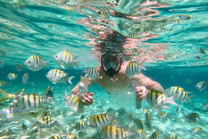 Amazing Paradise Island + Snorkeling-Mangrove Tour & Locale Food. - Punta Rucia beach time and the lunch buffet that actually matters