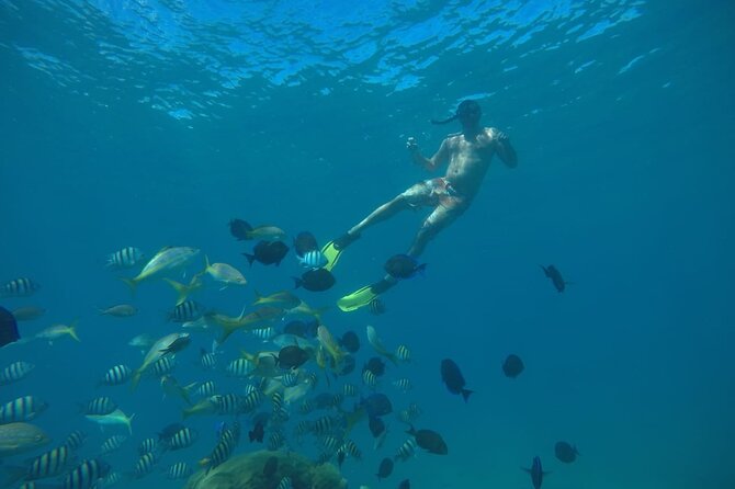 Amazing Paradise Island + Snorkeling-Mangrove Tour & Locale Food. - Price and logistics: The $85 value is real, but read the timing reality