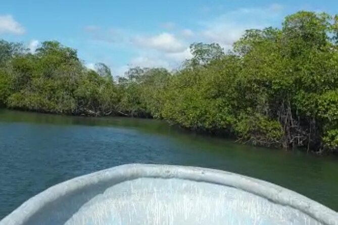 Amazing Paradise Island + Snorkeling-Mangrove Tour & Locale Food. - Who should book this Cayo Arena + mangroves day trip