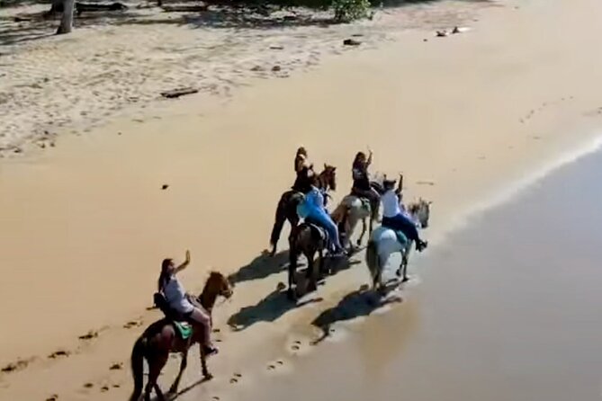 AMBER COVE-TAINO BAY Horses Beach Ride & City Sightseeing - Price and what you actually get for $95