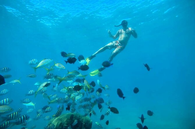 Amber Cove - Taino Bay Party Boat Snorkeling Whit Locale BBQ Tour - Value Check: Is $170 for a Private Group Actually Worth It?