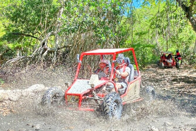 Amber Cove, Taino Bay Waterfalls and Buggy with Local Food Tour - Key highlights at a glance